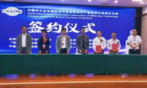 中國中小企業國際合作協會新技術產業投資分會成立，助推江西中小企業網站建設邁上新臺階