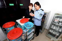 假期出行安全指南 安全咨詢服務(wù)全方位解析